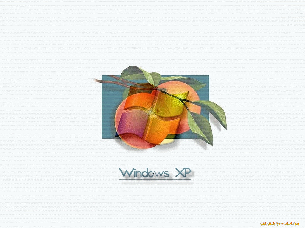, windows, xp